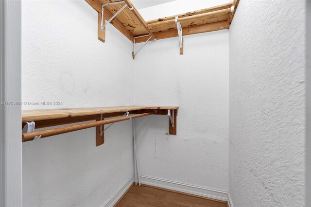 walk in closet featuring wood finished floors