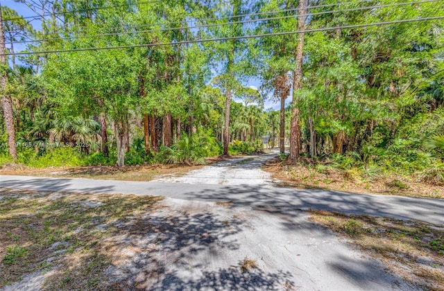 view of road featuring a view of trees