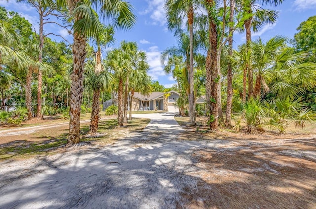 view of front of house featuring driveway