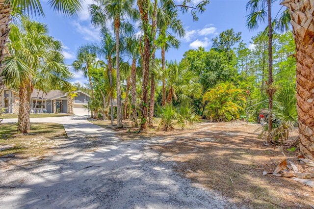 16789 98th Way N, Jupiter, FL 33478 - view of road
