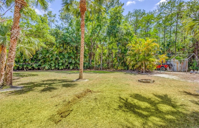view of yard