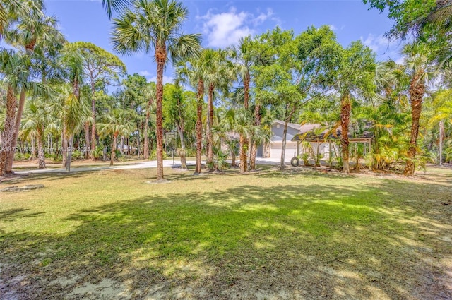 view of yard