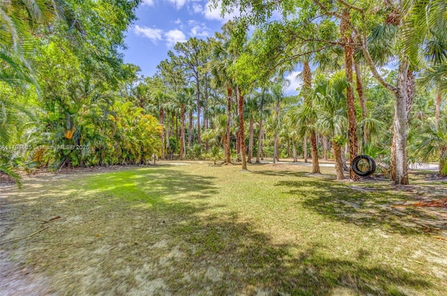 view of yard