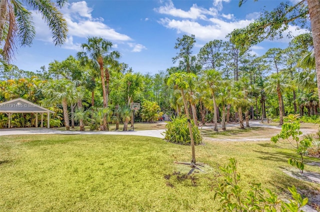 view of community featuring a detached carport, a yard, and driveway
