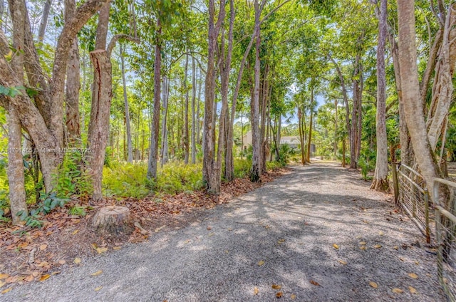 view of road with driveway