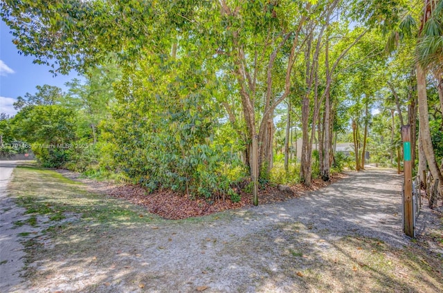 16789 98th Way N, Jupiter, FL 33478 - view of dirt / gravel road