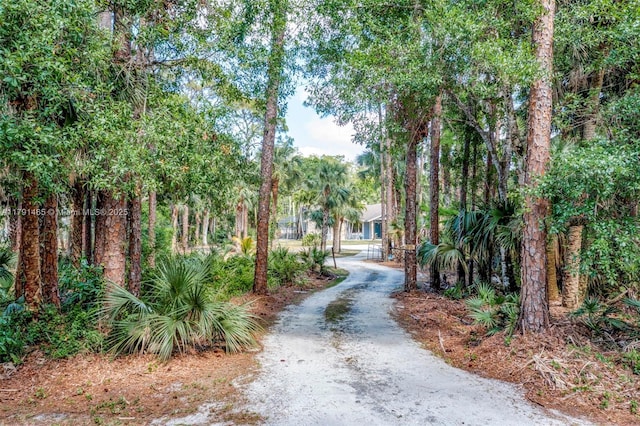 16789 98th Way N, Jupiter, FL 33478 - view of community