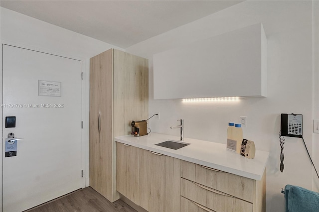 interior space with a sink and dark wood-style floors