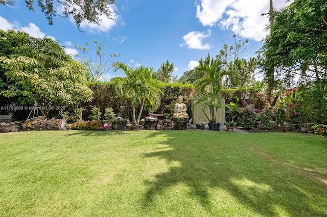 480 NW 88th Ter, El Portal, FL 33150 - view of yard
