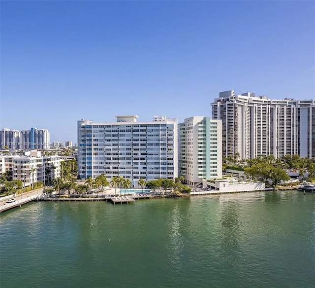 water view featuring a city view