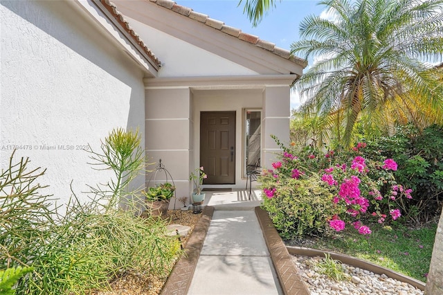 1371 Canary Island Dr, Weston, FL 33327 - doorway to property featuring stucco siding