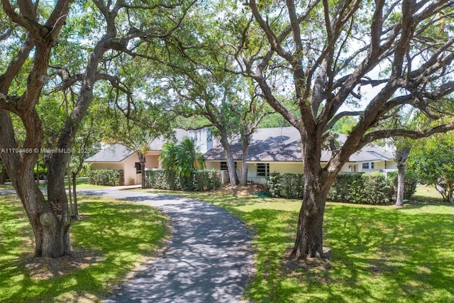 view of front of house featuring curved driveway, a front lawn, and stucco siding