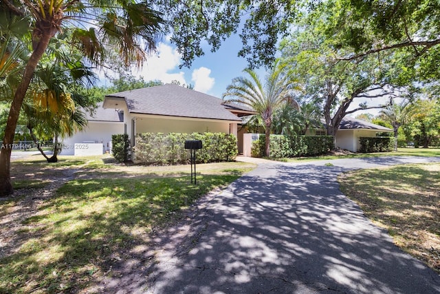 ranch-style house with a front lawn, stucco siding, and driveway