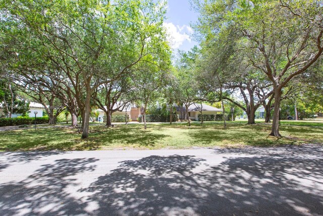 6255 SW 99th Ter, Pinecrest, FL 33156 - view of road