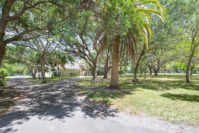 6255 SW 99th Ter, Pinecrest, FL 33156 - view of home's community featuring a yard and aphalt driveway
