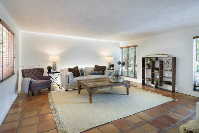 living room with baseboards and a wealth of natural light