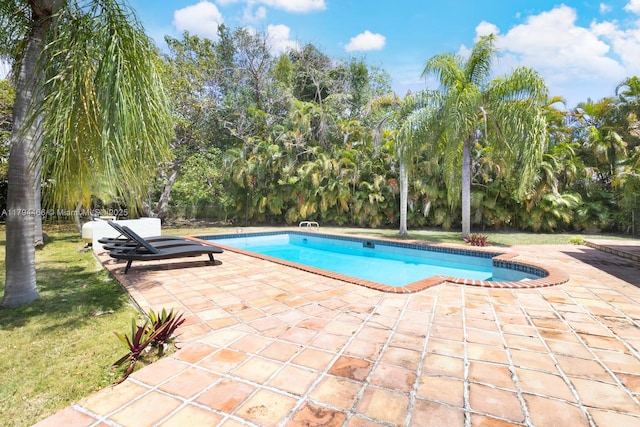 pool with a lawn and a patio area