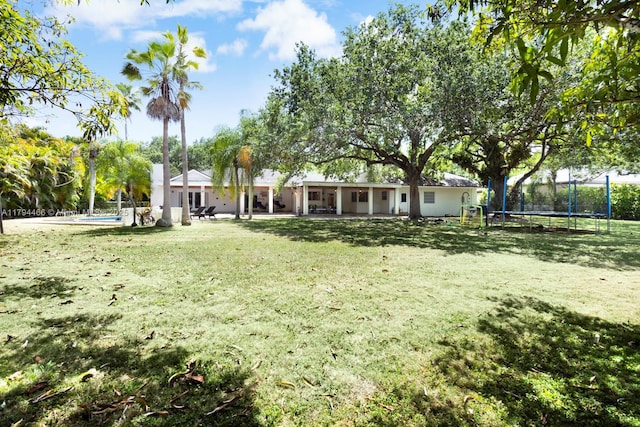 view of yard with a patio, a trampoline, and a pool