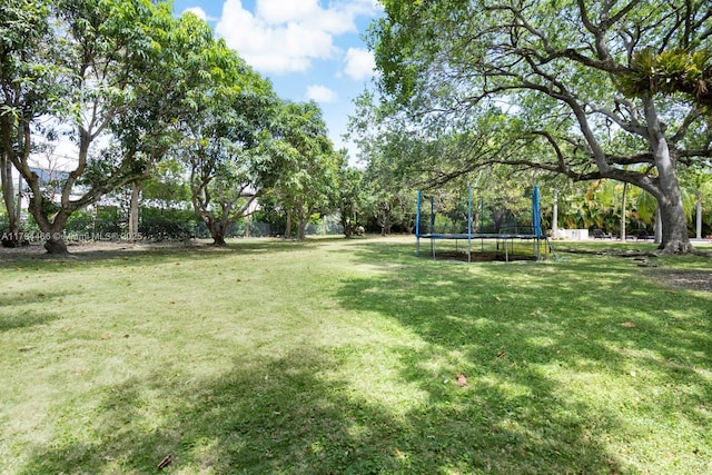 view of yard featuring a trampoline