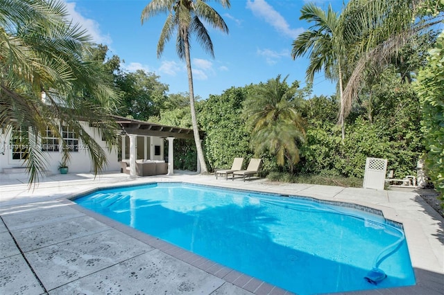 1161 Sunset Dr, Coral Gables, FL 33143 - outdoor pool featuring a patio and view of wooded area