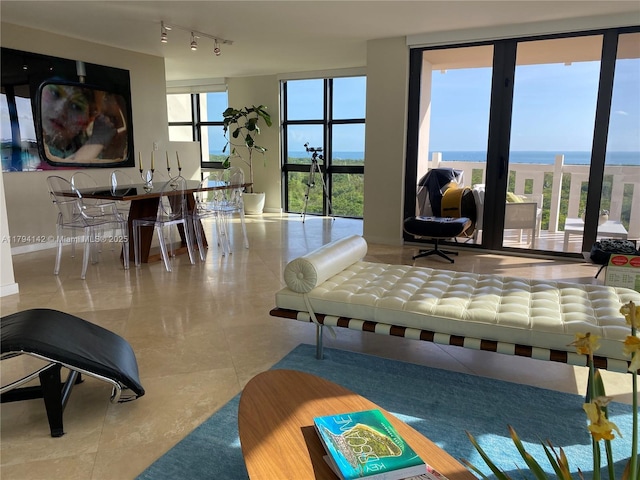 living room with rail lighting