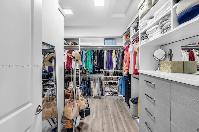 5202 S Sterling Ranch Cir, Davie, FL 33314 - spacious closet featuring wood finished floors and attic access