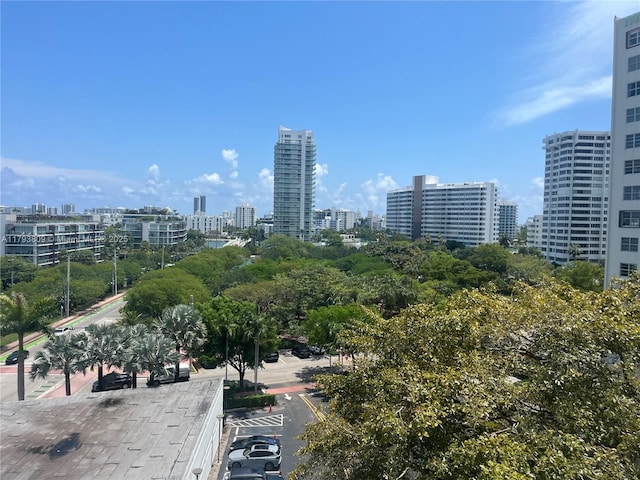 3 Island Ave Unit 08A, Miami Beach, FL 33139 - view of home's community with a city view and uncovered parking