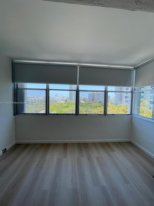 spare room featuring plenty of natural light, baseboards, and wood finished floors