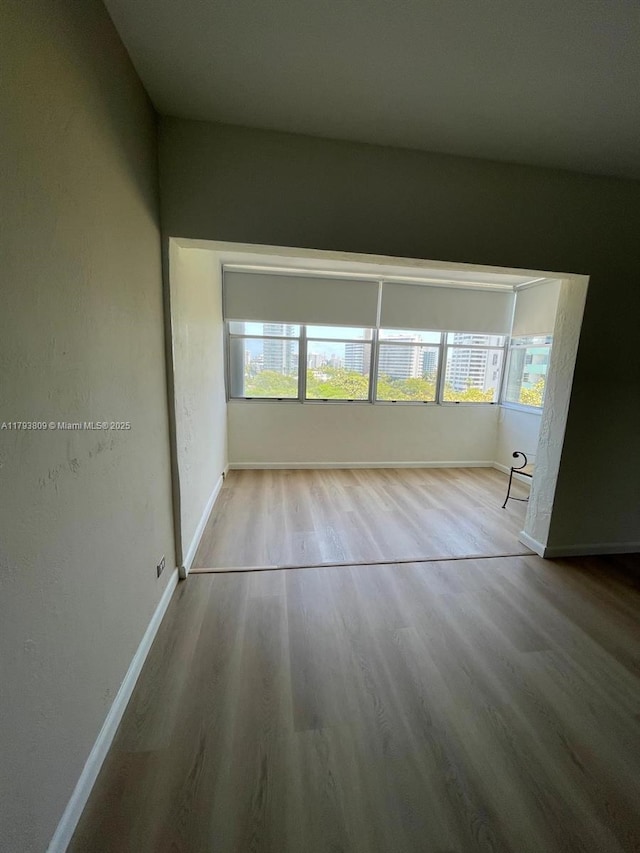 spare room featuring baseboards, plenty of natural light, and wood finished floors