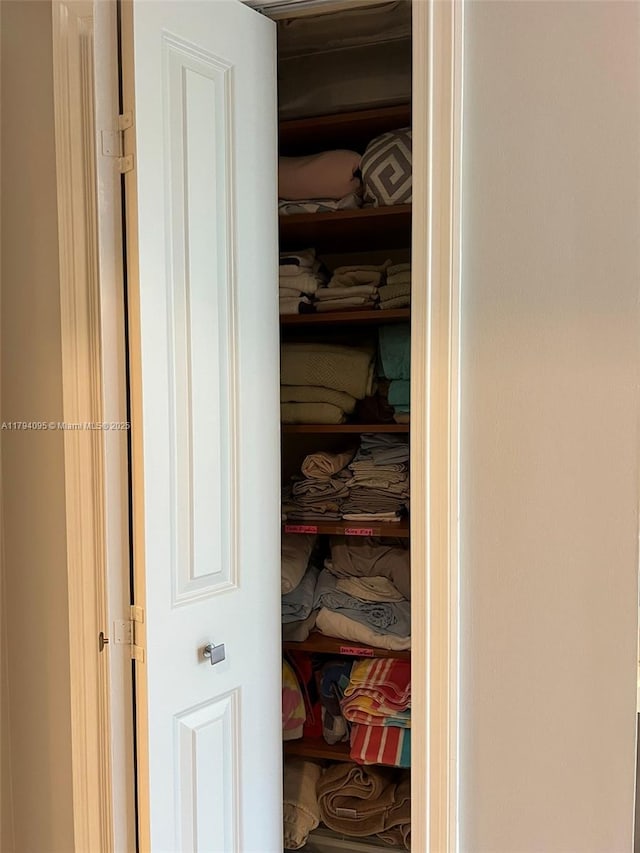 view of closet