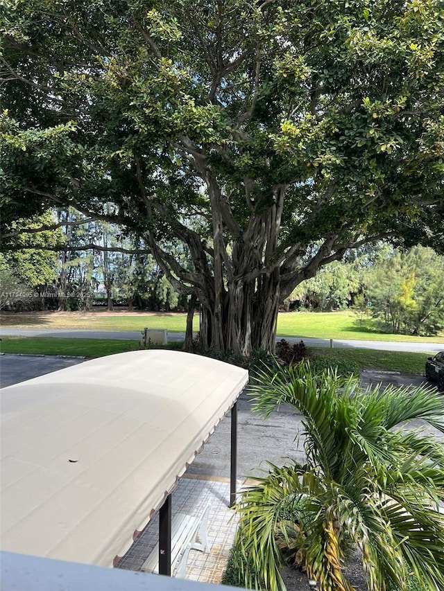 view of community with a lawn
