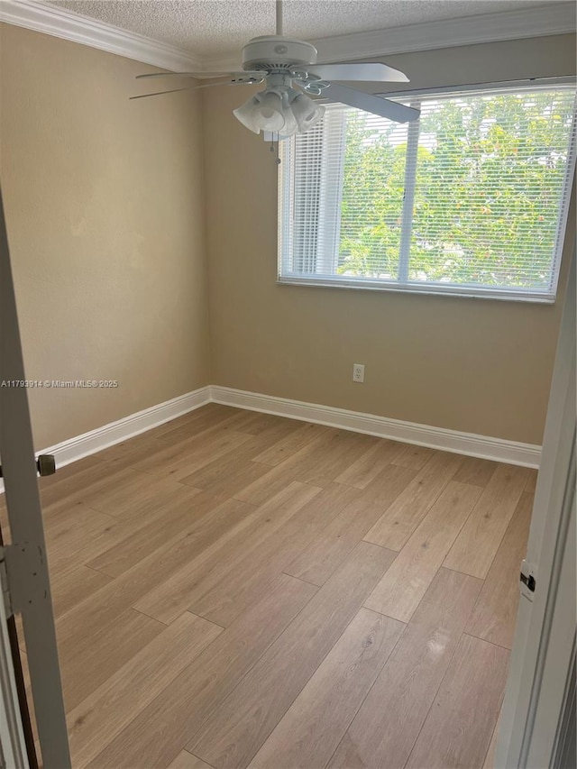8515 SW 152nd Ave Unit 284, Miami, FL 33193 - empty room featuring crown molding, light wood finished floors, a textured ceiling, a ceiling fan, and baseboards