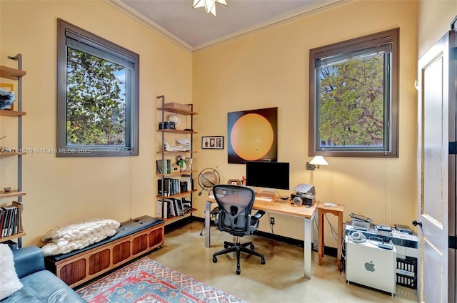 home office featuring ornamental molding, a wealth of natural light, and carpet