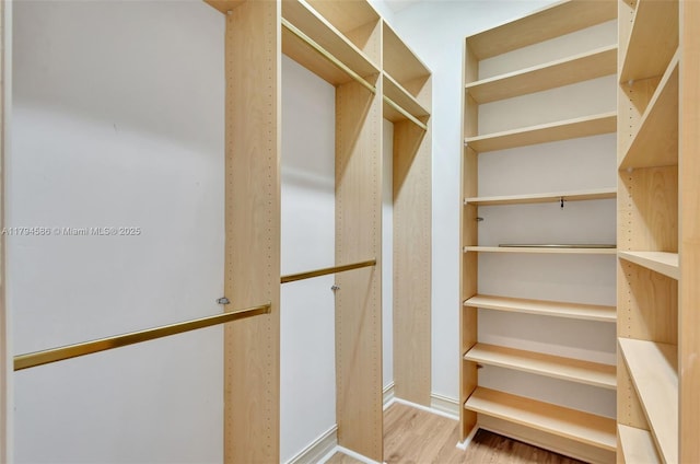 4 Mccairn Ct, Palm Beach Gardens, FL 33418 - spacious closet with wood finished floors