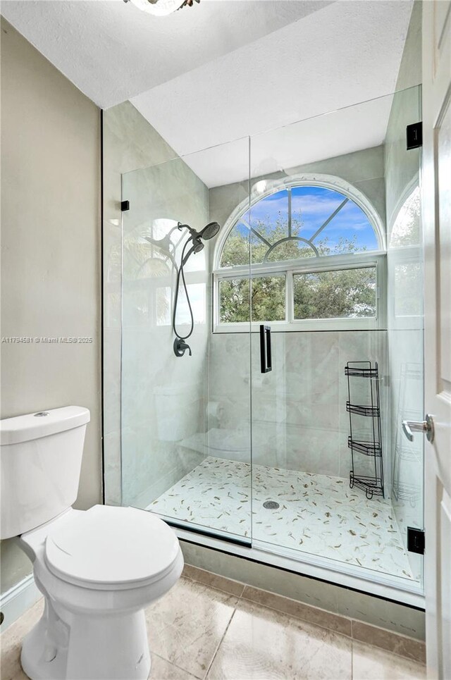 full bathroom with toilet, tile patterned floors, a healthy amount of sunlight, and a stall shower