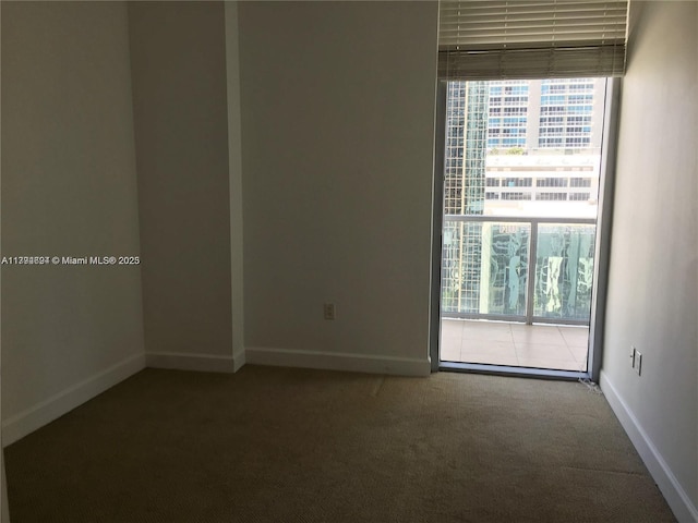 unfurnished room with carpet floors, baseboards, and a wealth of natural light