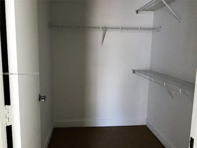 view of walk in closet