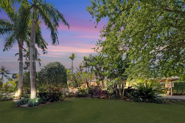 view of yard at dusk