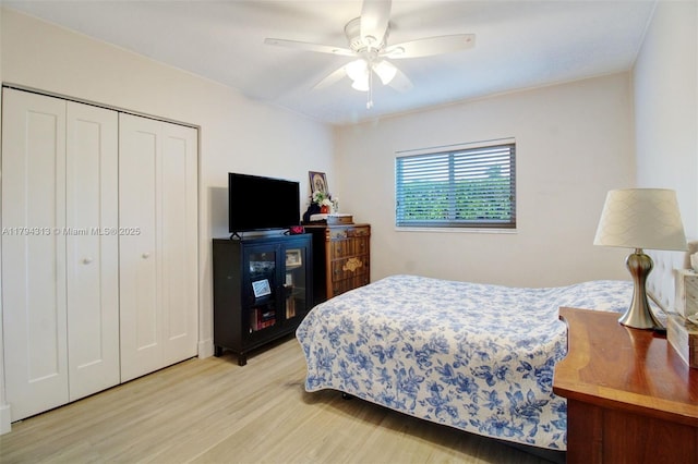 10861 SW 126th St, Miami, FL 33176 - bedroom featuring a ceiling fan, light wood finished floors, and a closet