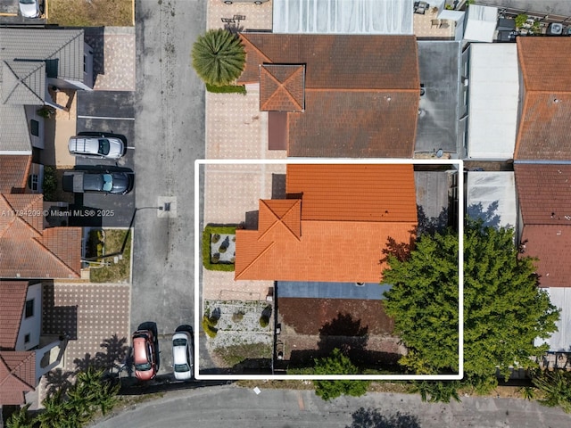 bird's eye view