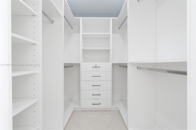 view of spacious closet