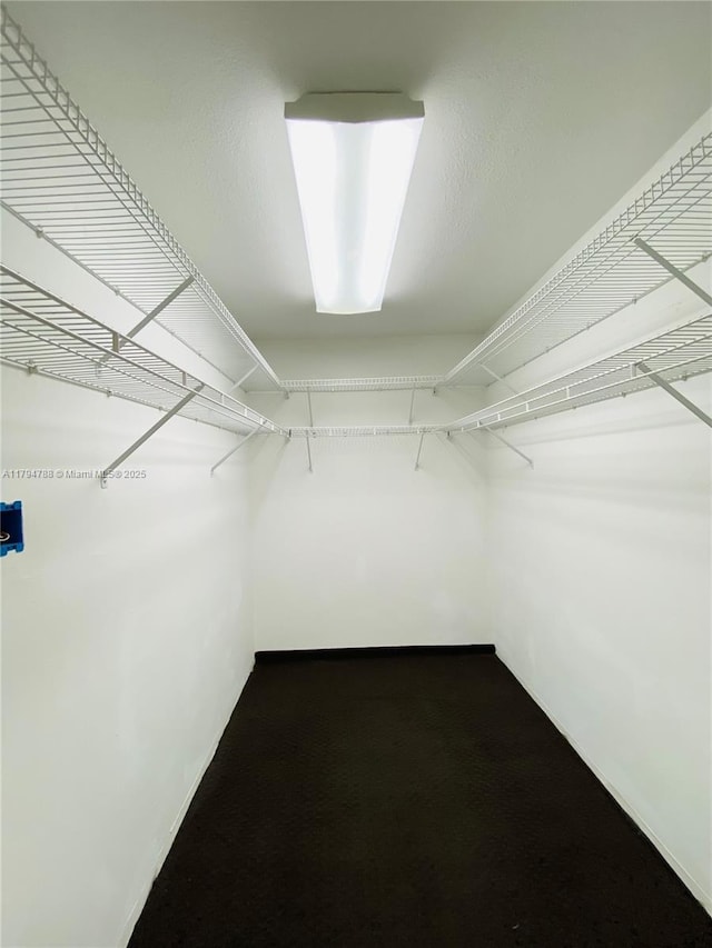 spacious closet with dark colored carpet
