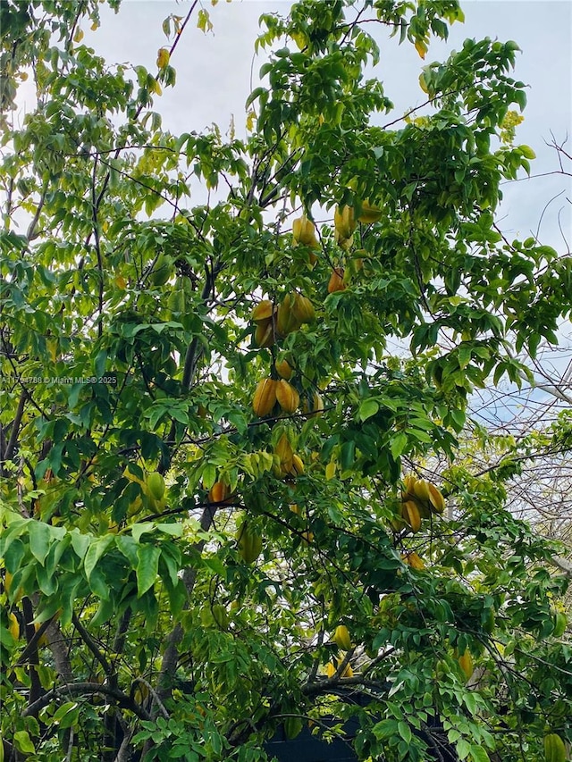 view of nature
