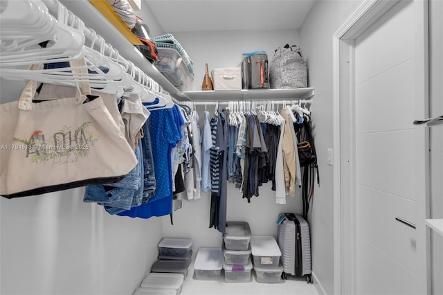 view of spacious closet