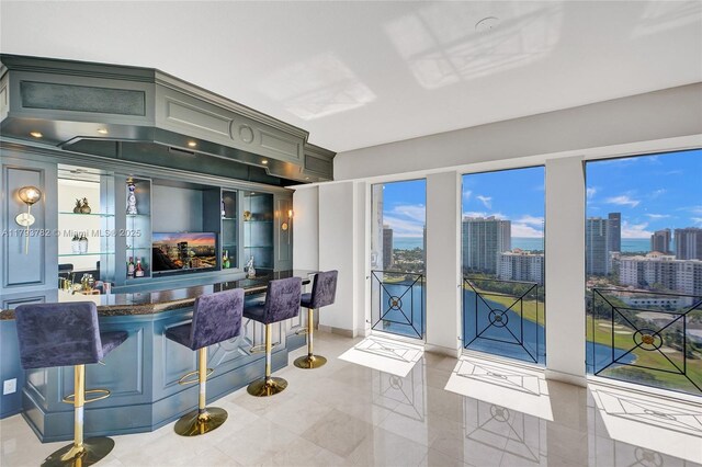 bar featuring indoor wet bar, baseboards, and a city view