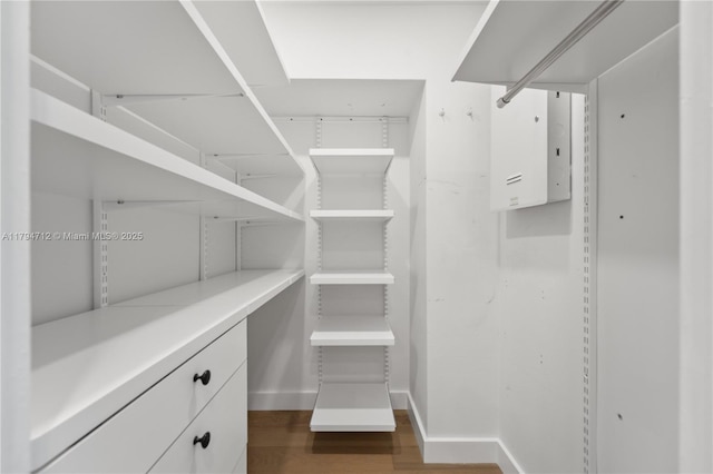 spacious closet featuring dark wood-style flooring