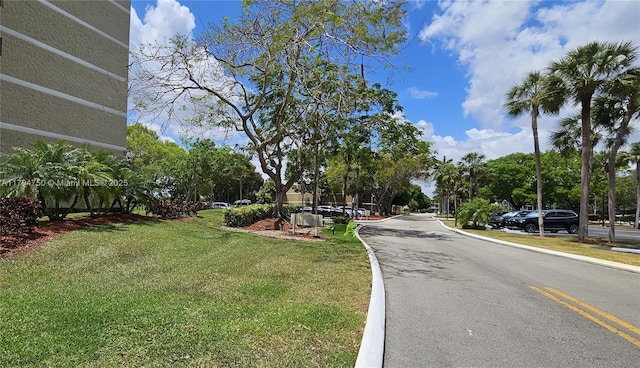 view of street with curbs