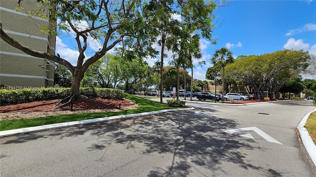 view of road with curbs