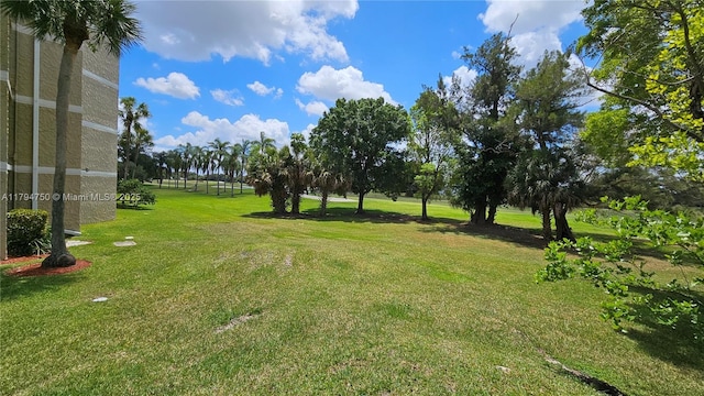 view of yard