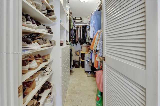 view of spacious closet